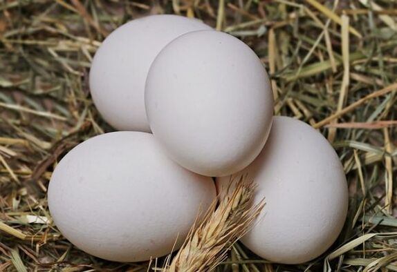 계란 다이어트에는 매일 닭고기 달걀을 먹는 것이 포함됩니다. 