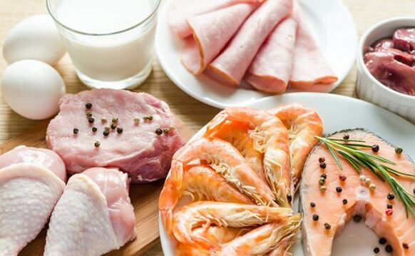 기본 단백질 식단